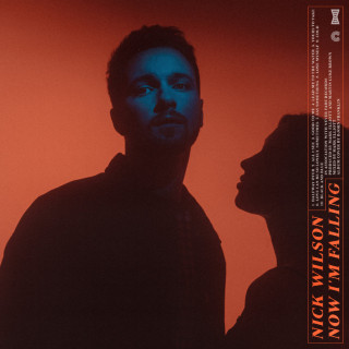 Nick Wilson - Now I'm Falling album cover