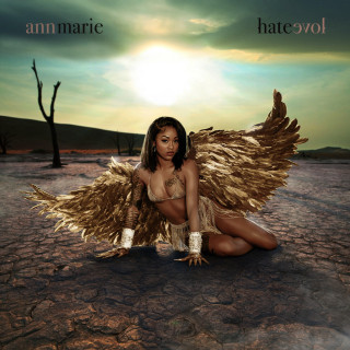 Ann Marie - Hate Love album cover