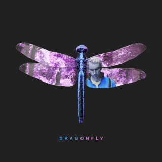 Matthew Parker - Dragonfly album cover