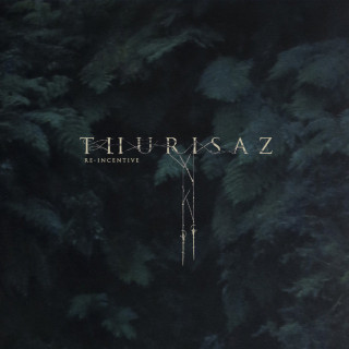Thurisaz - Re-Incentive album cover