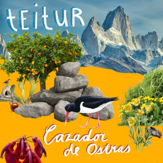 Teitur - Cazador De Ostras album cover